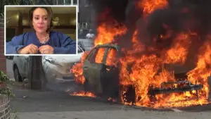 Alyssa Milano Car Explodes