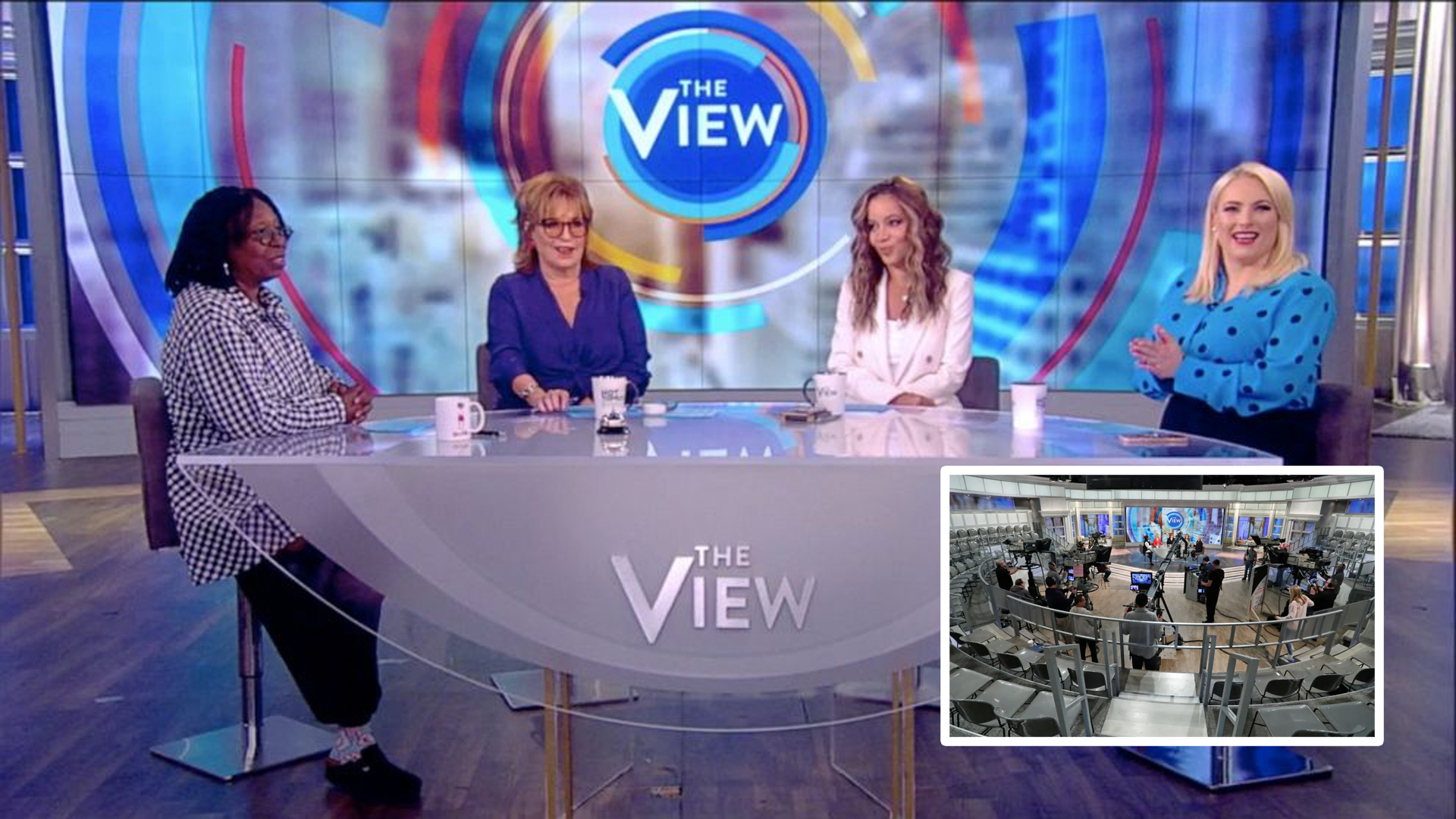 The View TV Show
