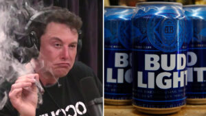 Elon Musk Bud Light