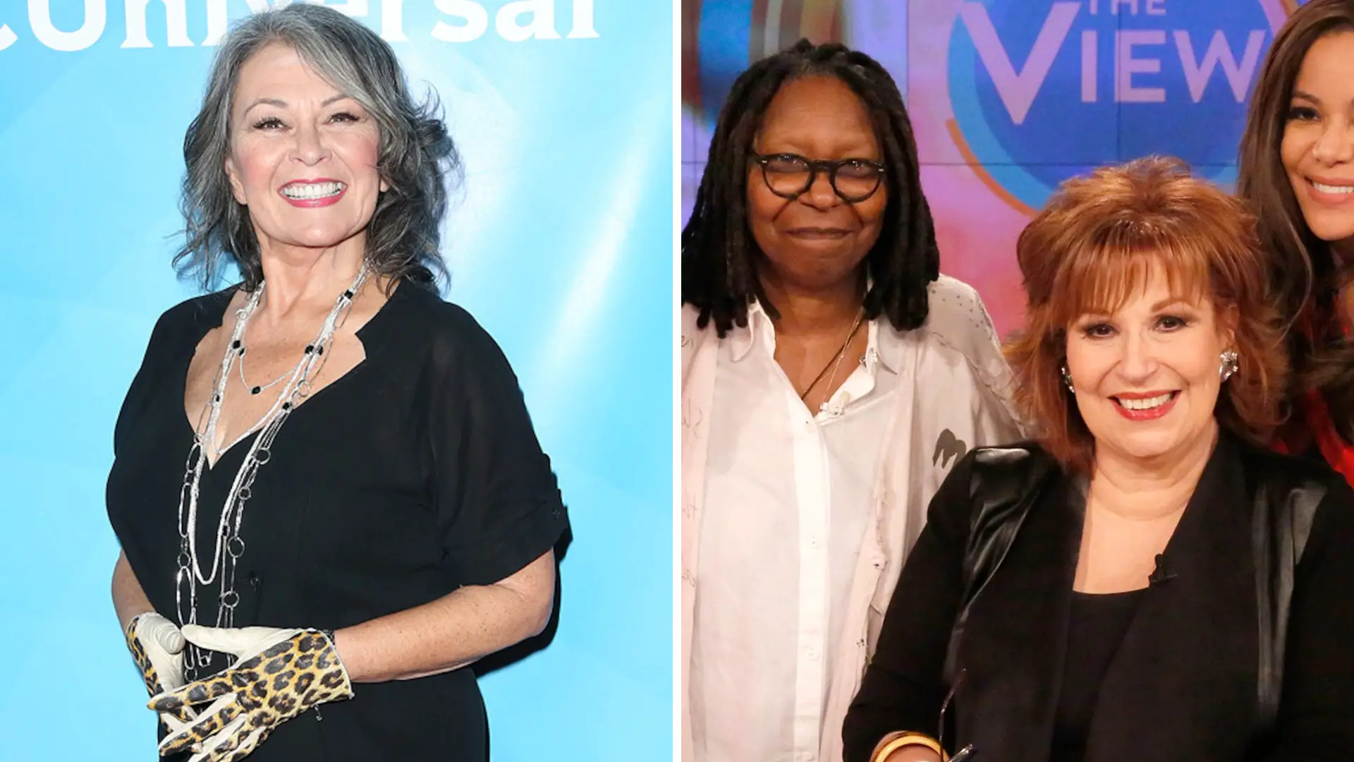 Roseanne Barr The View