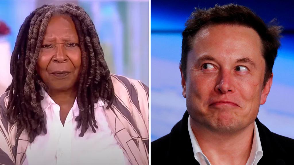 Whoopi Goldberg Elon Musk The View