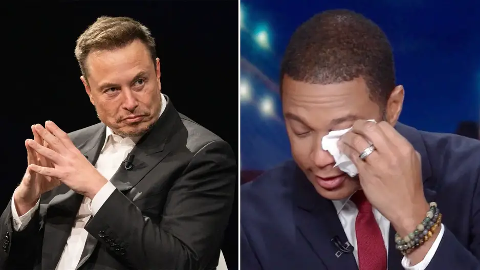 Don Lemon Elon Musk Punch