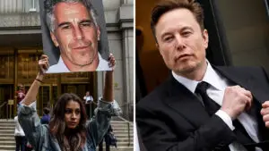 Elon Musk Epstein client list disclose