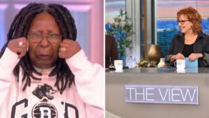 The View Whoopi Insults