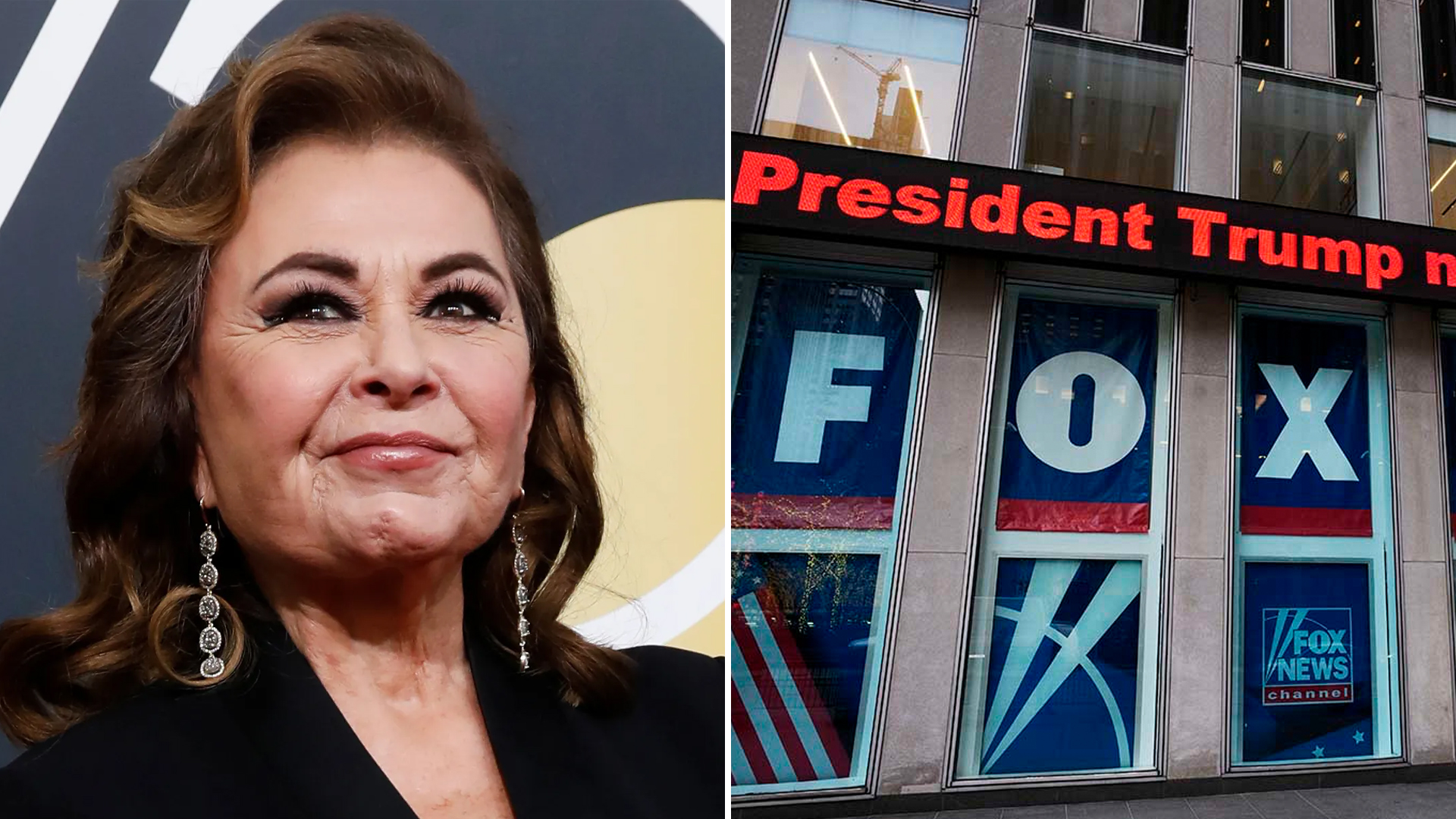 Roseanne Barr New Talk Show 2024 Alvira Hedvige