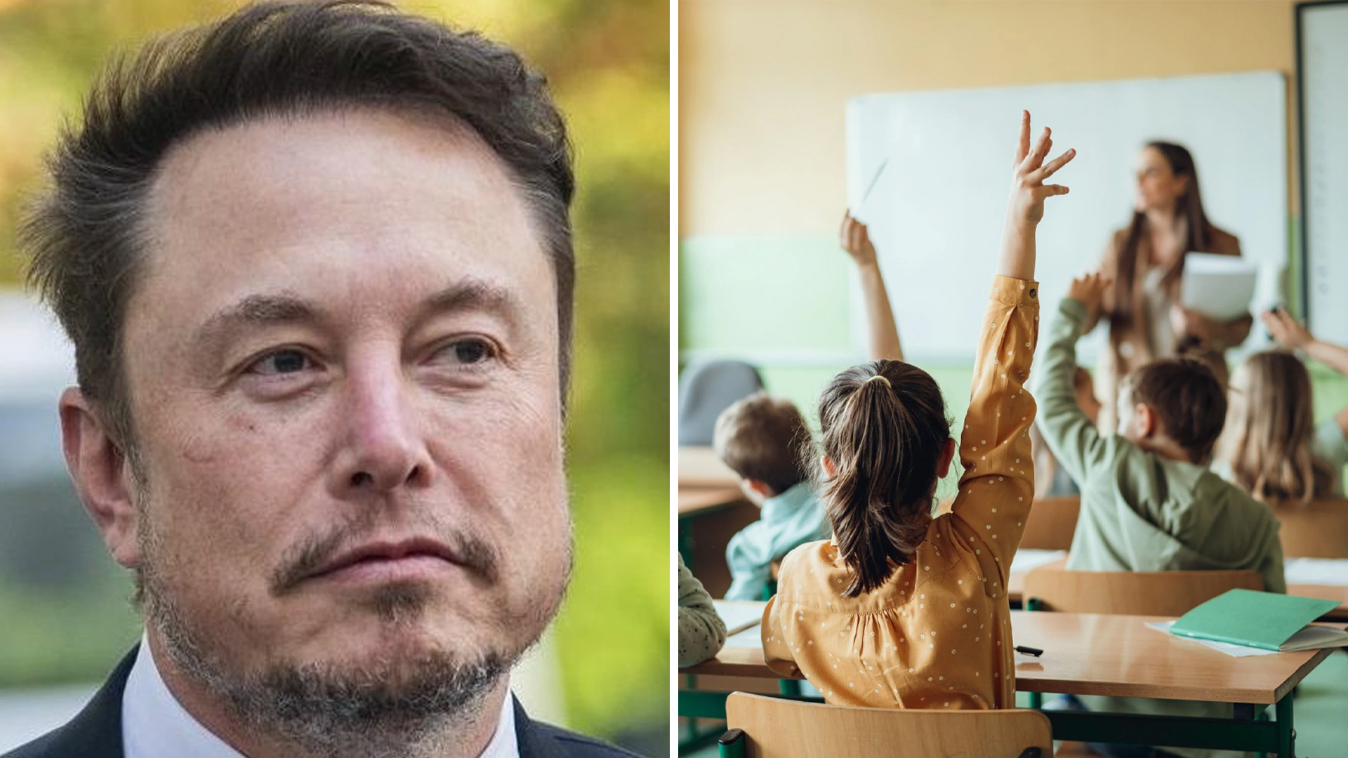 Elon Musk Non Woke School