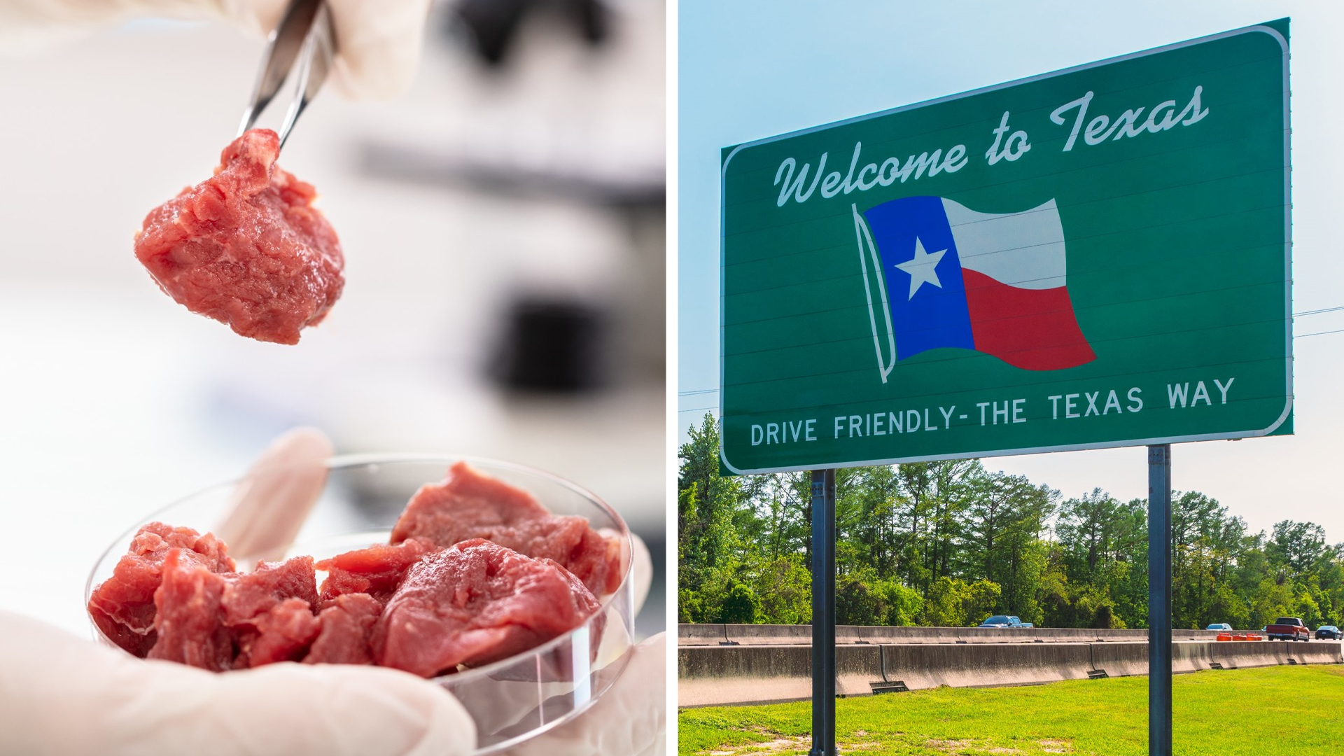 Texas lab grown meat