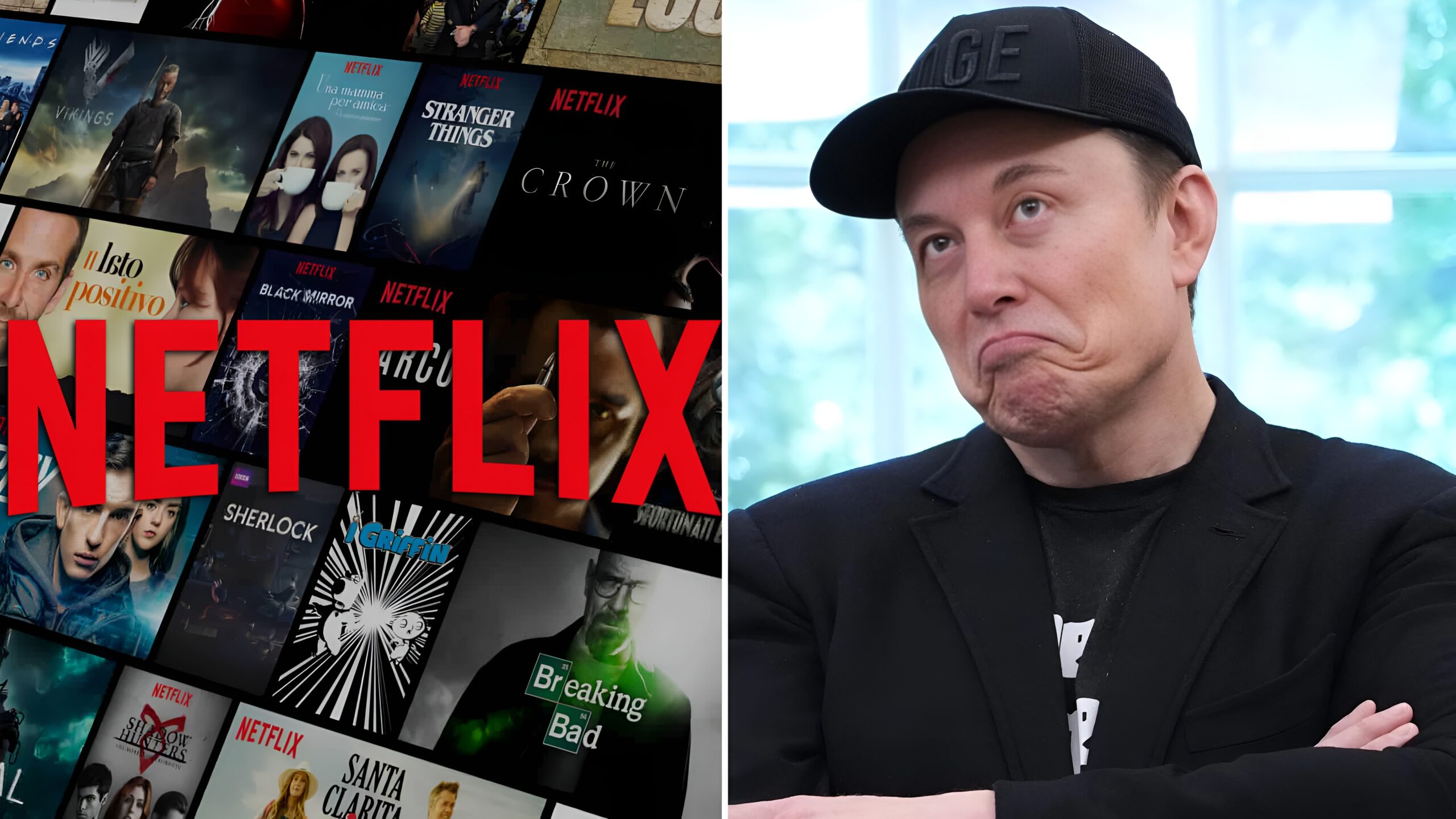 Elon Musk Netflix Streaming