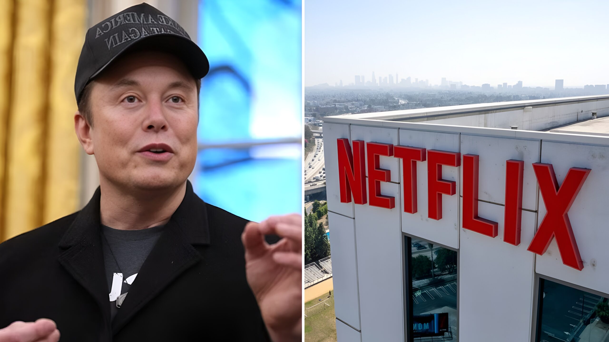 Netflix and Elon Musk