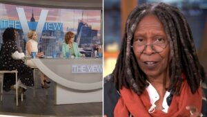 Whoopi Goldberg The View Suspension
