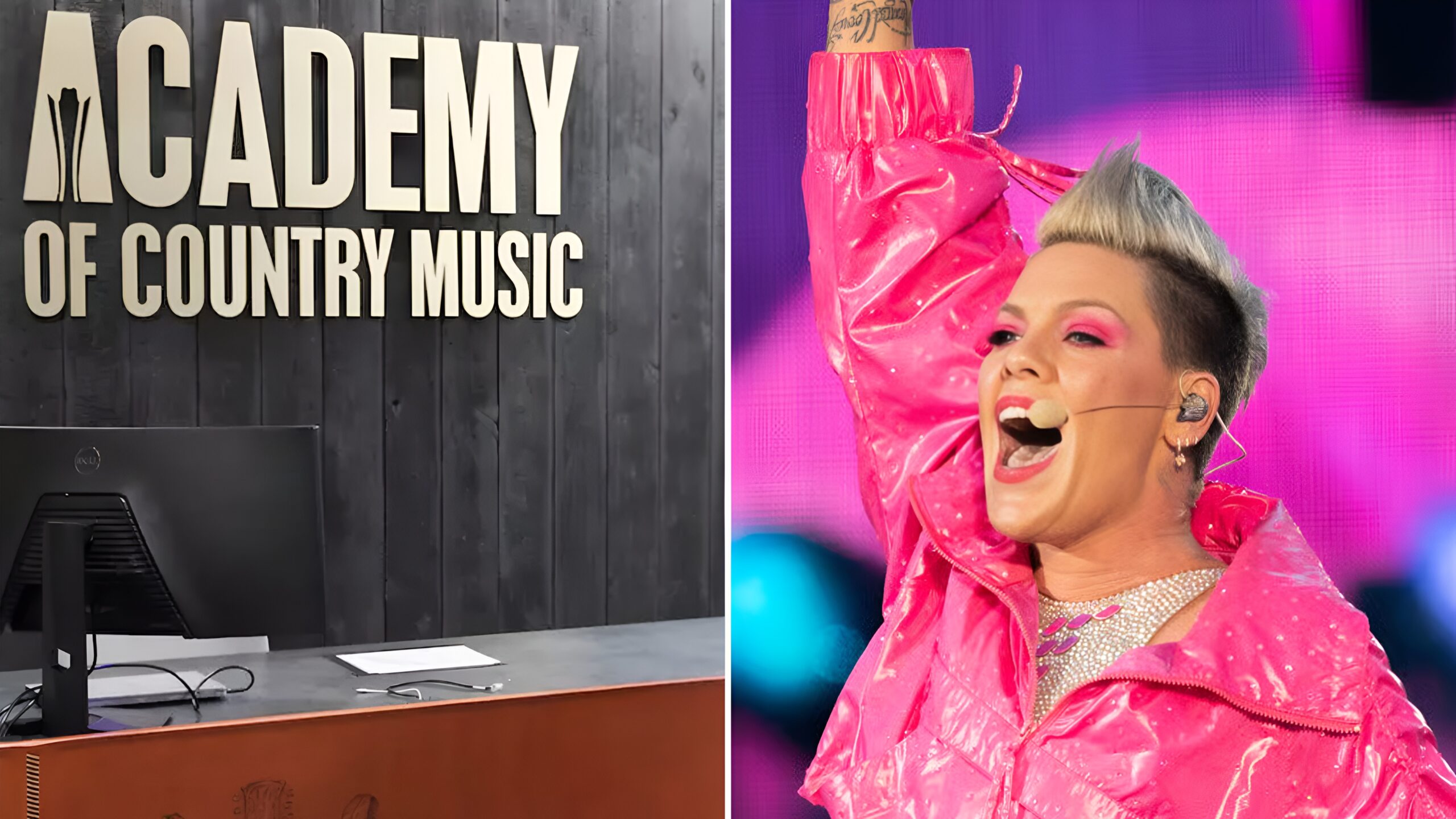 MAGA HUMANITY INSULT