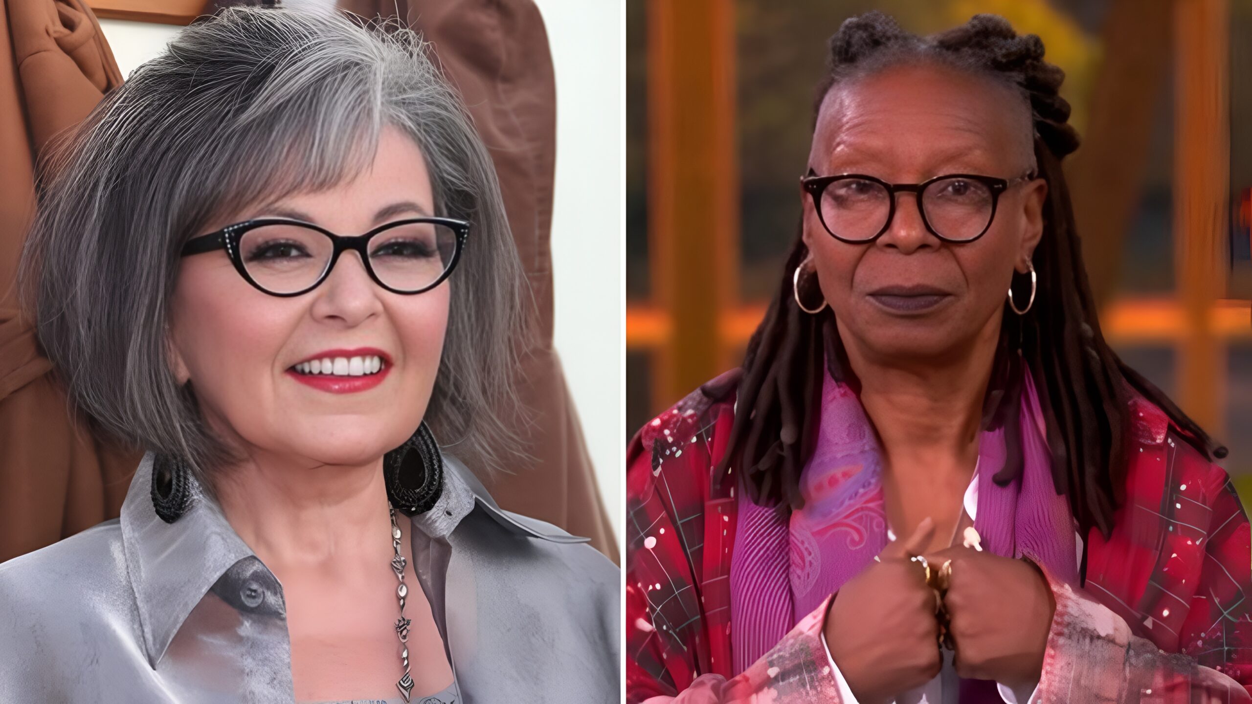 Roseanne Barr The View Fox News