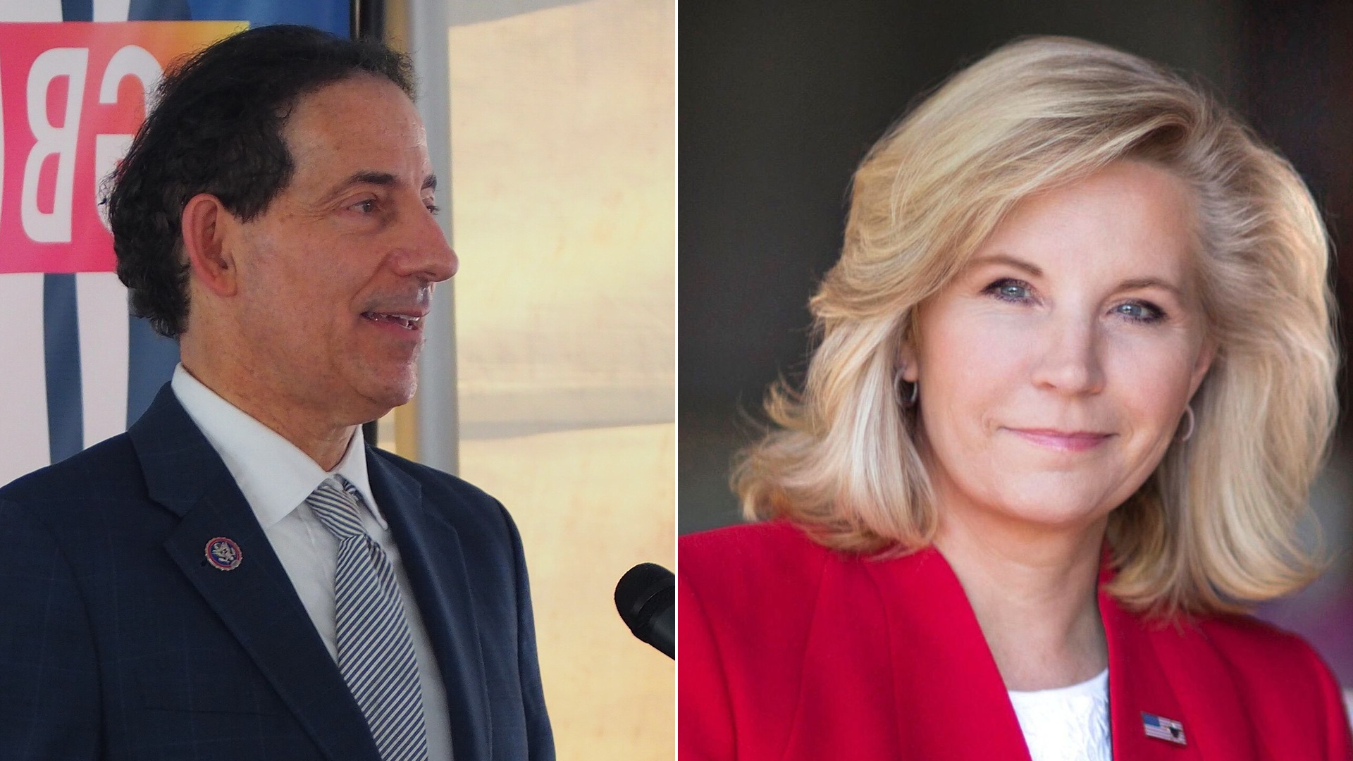 Jamie Raskin Liz Cheney