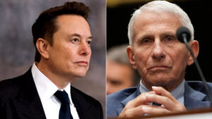 Elon Musk Anthony Fauci Props